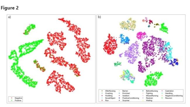 Classificazione dei richiami alla valenza e contesto di produzione in base a t-SNE. Incorporamento t-SNE di (a) valenza (incorporando perplessità = 50) e (b) contesto (incorporando perplessità = 20) classificando le ultime attivazioni dello strato completamente connesso della rete neurale per ogni spettrogramma (i grafici t-SNE visualizzano la probabilità che due punti siano vicini in uno spazio multivariato originale). I triangoli indicano le vocalizzazioni di valenza negativa, mentre i cerchi indicano quelle positive (vedi Testo supplementare per maggiori informazioni sulle impostazioni utilizzate per questa figura).