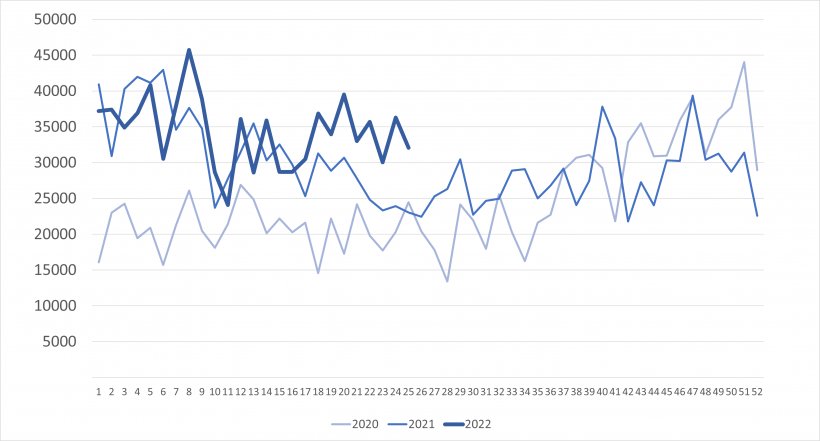 Importazioni settimanali di suinetti olandesi (capi). Fonte: 333 su dati RVO.
