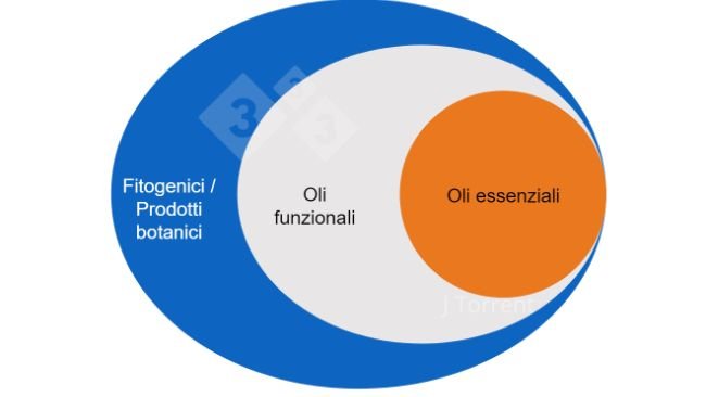 Figura 1. Illustrazione della terminologia utilizzata per descrivere oli essenziali, oli funzionali e prodotti botanici o fitogenici.