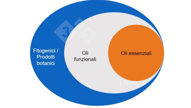 Figura 1. Illustrazione della terminologia utilizzata per descrivere oli essenziali, oli funzionali e prodotti botanici o fitogenici.
