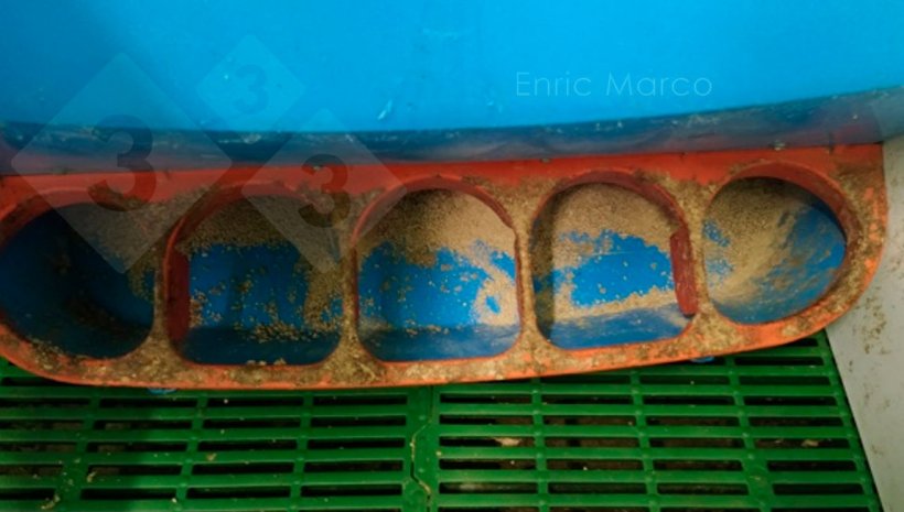 Foto1. Mangiatoia correttamente regolata.