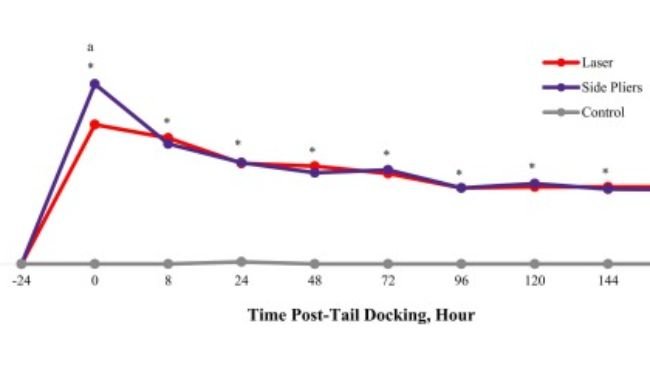 Confronto tra il taglio della coda con le due modalità studiate per quanto riguarda lo stato della ferita nel tempo dopo l'intervento.