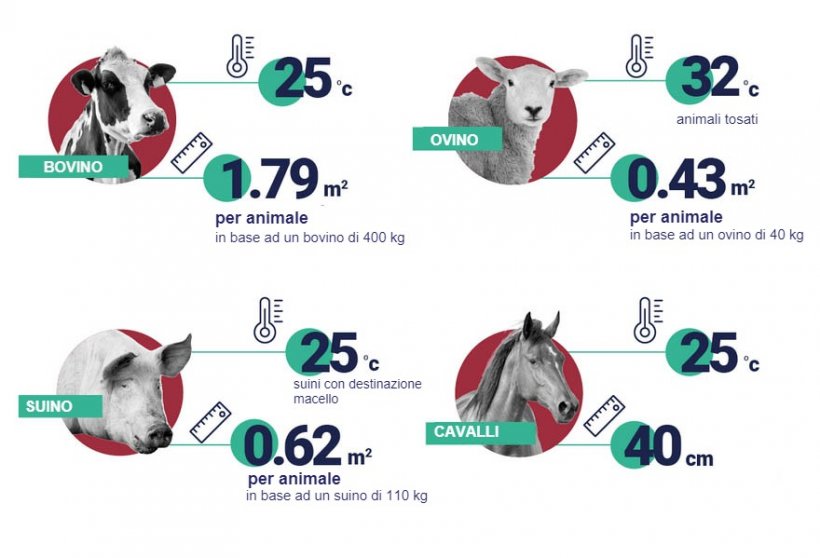 Spazio e temperature consigliate per animale. Fonte: EFSA.

