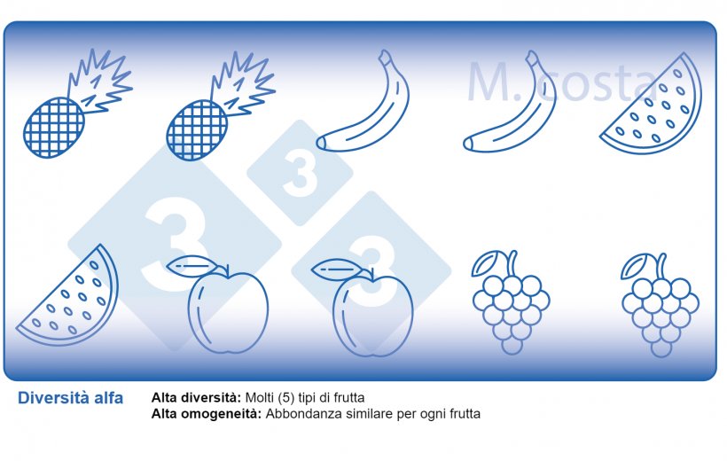 Figura 2. Come interpretare le misurazioni della diversit&agrave; microbica dei campioni (diversit&agrave; alfa). La variet&agrave; &egrave; un parametro della diversit&agrave; (ad esempio i tipi di frutta) e dell&#39;omogeneit&agrave; (ad esempio la distribuzione o abbondanza di ogni tipo di frutto) in un dato campione.
