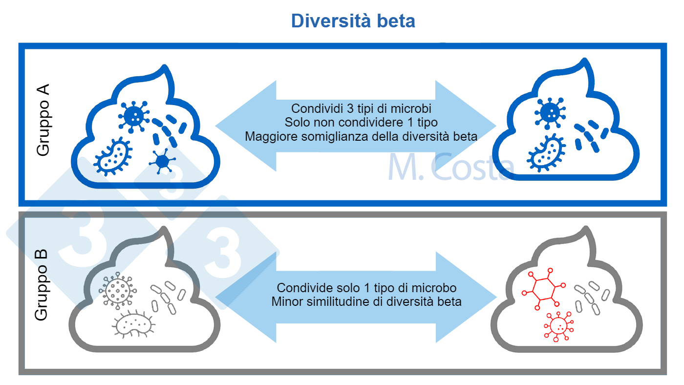 Entender los cambios en la composición microbiana entre las muestras (diversidad beta)