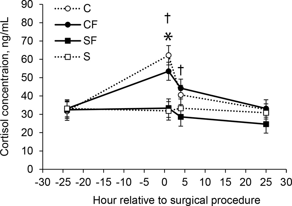 Figura 2.<br />
Concentrazioni medie &plusmn; SEM di cortisolo per suinetti nei gruppi SF (n = 624), CF (n = 688), S (n = 528) e C (n = 516). *Le concentrazioni erano significativamente (P &le; .05) diverse tra i gruppi C e S. &dagger;Le concentrazioni erano significativamente (P &le; .05) diverse tra i gruppi CF e SF.

Fonte: American Journal of Veterinary Research 83, 9; 10.2460/ajvr.21.12.0201
