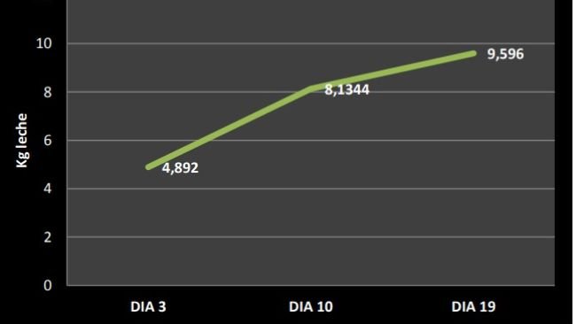 Grafico 1: Evoluzione della produzione di latte: media giornaliera durante il periodo di lattazione.