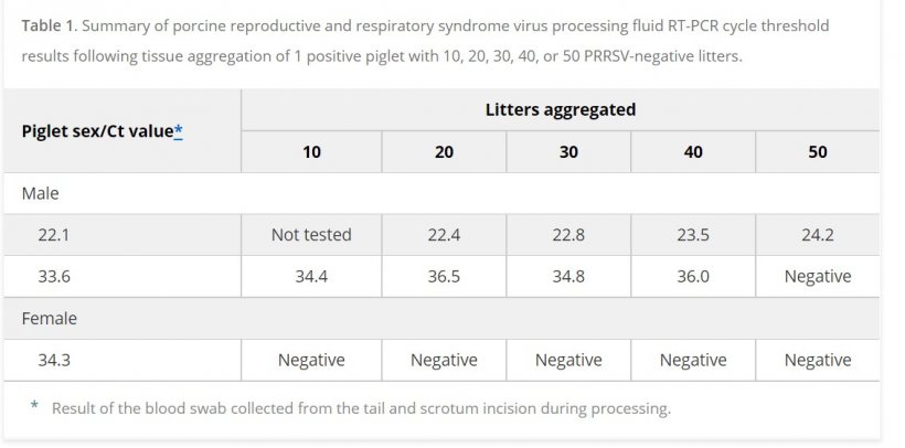 Tabella 1. Riepilogo dei risultati della soglia del ciclo RT-PCR degli emosieri&nbsp;del virus della sindrome respiratoria e riproduttiva suina in seguito all&#39;aggregazione tissutale di 1 suinetto positivo con 10, 20, 30, 40 o 50 figliate&nbsp;PRRSV-negative
