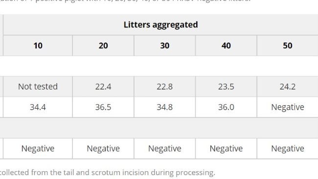 Tabella 1. Riepilogo dei risultati della soglia del ciclo RT-PCR degli emosieri del virus della sindrome respiratoria e riproduttiva suina in seguito all'aggregazione tissutale di 1 suinetto positivo con 10, 20, 30, 40 o 50 figliate PRRSV-negative