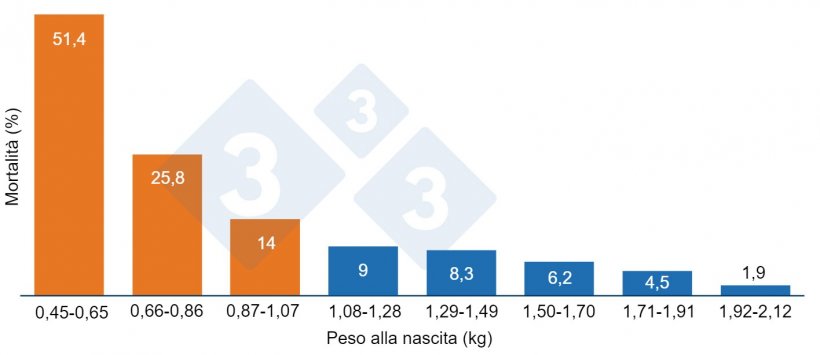 Grafico 1. Mortalit&agrave; pre-svezzamento in base al peso alla nascita. I suinetti di peso inferiore a 1,07 kg (arancione) hanno una mortalit&agrave; pi&ugrave; elevata.
