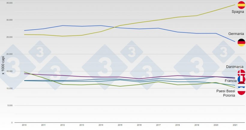 Evoluzione del censimento suino nei principali produttori europei tra il 2010 e il 2021.
