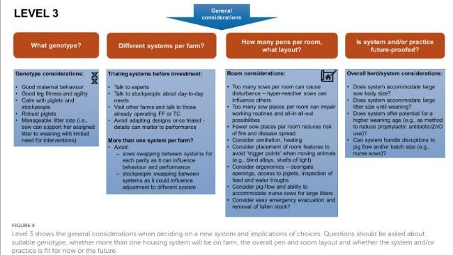 Il livello 3 decisionali fa le considerazioni generali di un nuovo sistema e le conseguenze delle scelte. Si dovrebbe chiedere del genotipo più adatto, se necessario differenziare i modelli nello stesso allevamento, il layout del box e se il sistema è idoneo al momento e anche nel futuro