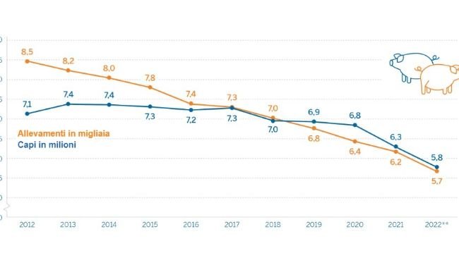 Allevamenti di suini* e censimento nella Renania Settentrionale-Vestfalia al 3 novembre. Fonte: IT NRW.
*Aziende con almeno 50 suini o almeno 10 scrofe riproduttrici.