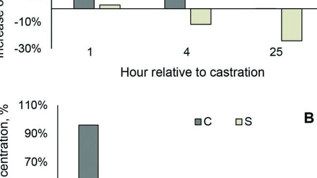 Variazione percentuale media delle concentrazioni sieriche di cortisolo, rispetto alle concentrazioni basali, per i gruppi CF e SF (A) e per i gruppi C e S (B).
Fonte: American Journal of Veterinary Research 83, 9; 10.2460/ajvr.21.12.0201