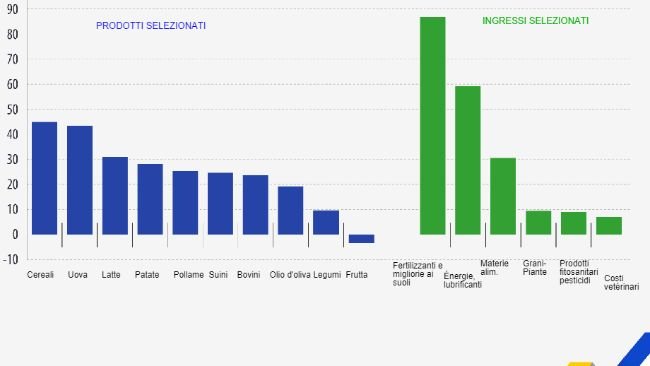 EVOLUZIONE DEGLI INDICI DEI PREZZI ALLA PRODUZIONE E ALL'INGRESSO (variazioni %, 2021-2022, stime UE).