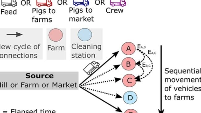 Schema dei contatti indiretti formati dai movimenti dei mezzi di trasporto. Le reti dei veicoli di trasporto sono state ricostruite sulla base di visite consecutive in allevamento di ciascun veicolo. Poiché la stabilità del PRRSV nell'ambiente è direttamente influenzata dalle condizioni ambientali, è stata ricostruita una rete di contatti considerando tutte le visite intermedie tra gli allevamenti avvenute entro 72 ore per i mesi freddi (da ottobre a marzo) ed entro 24 ore per i mesi caldi ( da aprile a settembre).