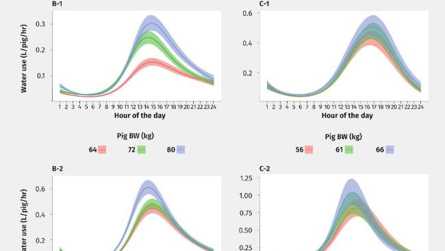Figura 2: Livelli che mostrano gli effetti interagenti dell'ora del giorno e del peso corporeo (PC) sull'uso di acqua dei suini ogni giorno in 2 box di suini all'ingrasso nei capannoni di 2 allevamenti da febbraio a maggio 2021 e da giugno ad agosto 2021, rispettivamente. B-1 e C-1) Curve di 2 gruppi nella fase di crescita. B-2 e C-2) Curve per gli stessi 2 gruppi in fase di ingrasso. Le curve sono specifiche per i suini in 3 momenti specifici di peso corporeo, man mano che aumentavano di peso durante il periodo di misurazione. In ogni curva, i bordi indicano i limiti di un intervallo di credibilità del 95%. L'effetto casuale del "giorno" è impostato su zero. Le medie delle distribuzioni a posteriori dei valori R2 per i quattro modelli erano: 0,76-0,85; 2,5° limite di fiducia: 0,74-0,84; 97,5° limite fiducia: 0,77-0,86.