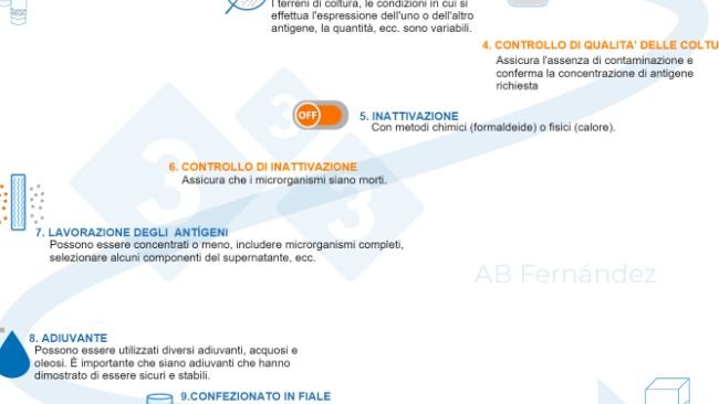 Figura 1. Schema di produzione di un vaccino stabulogeno.