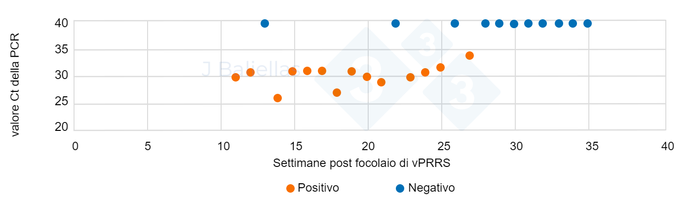 Evoluzione dei valori Ct della PCR nelle settimane successive allepisodio di PRRS