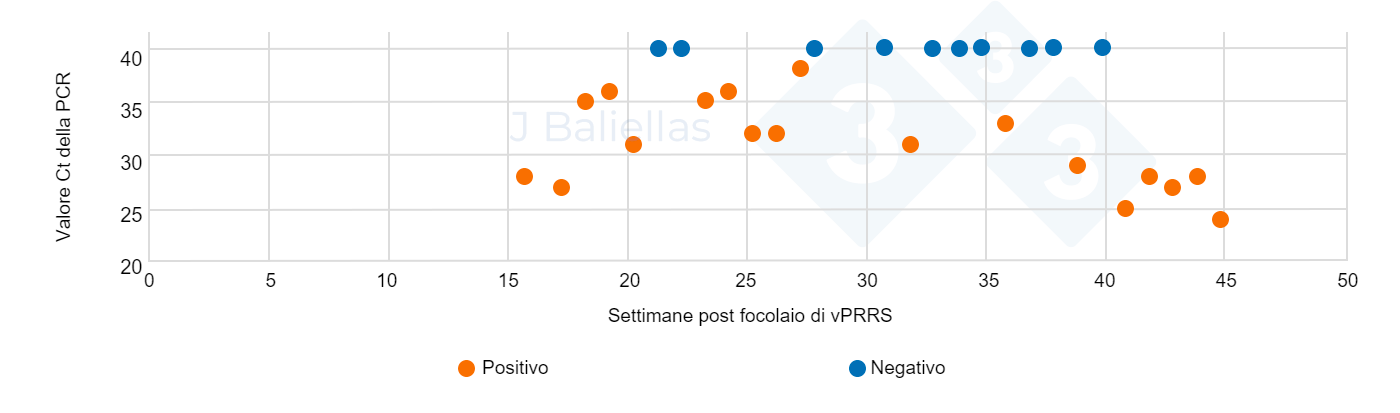 Evoluzione dei valori Ct della PCR nelle settimane successive allepisodio di PRRS