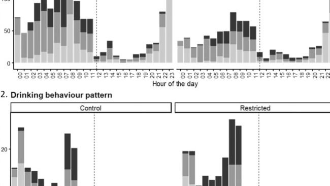 comportamento scrofe in gruppo con alimentatori tipo ESF