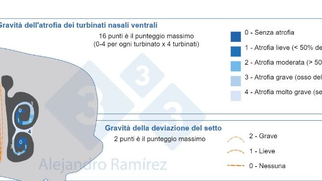 Metodo della Farmacopea Europea per la valutazione delle lesioni dei turbinati.