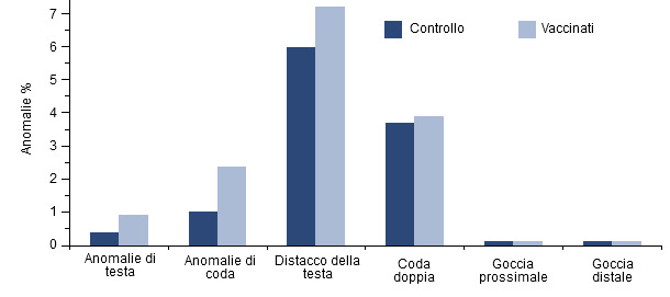 Effetto della vaccinazione dei verri positivi alPCV2 sobre la motilidad espermática