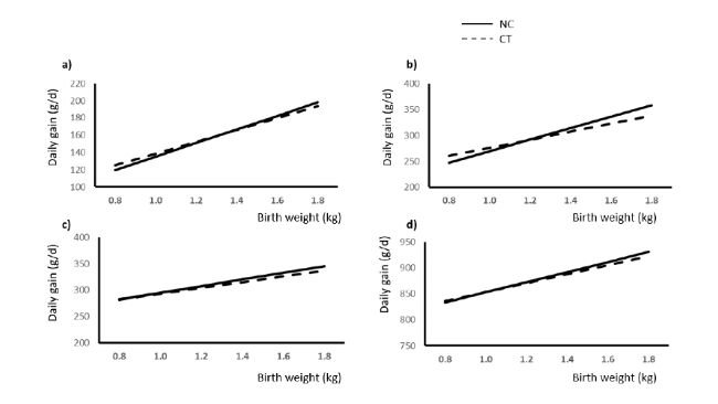 Figura 1.Relazione tra peso alla nascita (kg) e incremento giornaliero (g/d) in conseguenza della presenza (NC) o dell'assenza (CT) di cure neonatali durante: (a) prima settimana di lattazione; (b) lattazione tardiva (>7 giorni fino allo svezzamento); (c) suinetti svezzati (5 settimane dopo lo svezzamento); (d) periodo svezzamento-ingrasso
