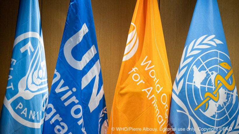 © WHO/Pierre Albouy. Editorial use only. Copyright ©FAO.