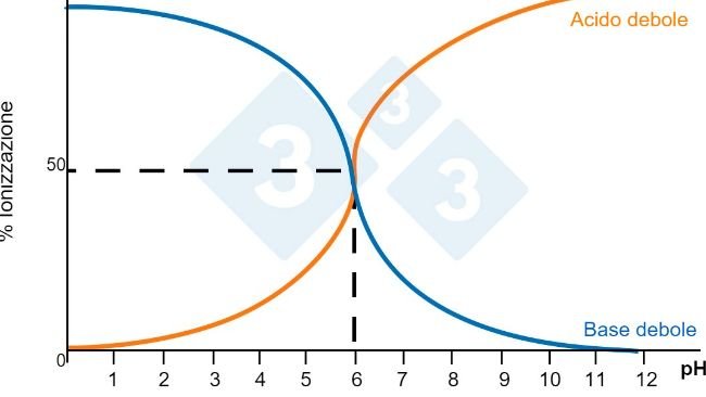 Figura 1. Solubilità dei composti.