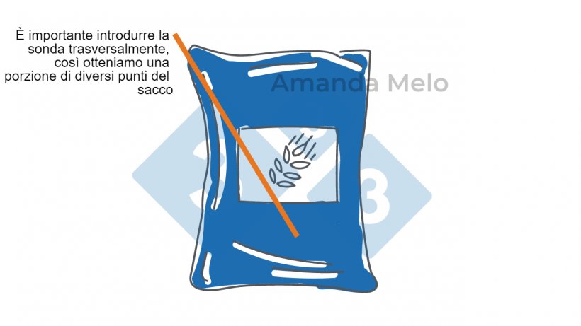 Figura 3. Schema di campionamento del sacchetto di sonda corta.
