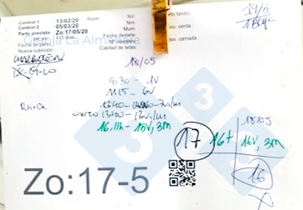 Foto 10: codici QR sulle schede&nbsp;per facilitare l&#39;inserimento dei dati.
