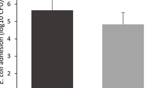 Figura 1. Colonizzazione da E. coli dell'epitelio mucoso dell'intestino tenue (sezione al 75% della lunghezza dell'intestino tenue) di suinetti al d14 dopo lo svezzamento, quando alimentati con una dieta di controllo (Controllo; n = 10) o una dieta contenente 2 kg/tonnellata di frazioni di fibre specifiche derivate da radice di Araceae e agrumi (Test; n = 10) dal giorno 0 al giorno 14 post-svezzamento.