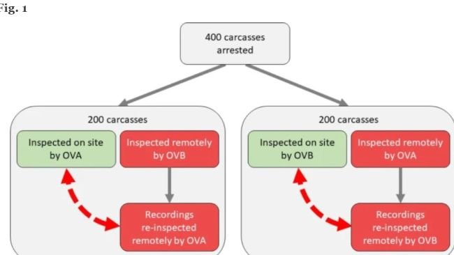 Rappresentazione schematica dei confronti tra materiale video in loco e registrato dell'ispezione post mortem delle carni eseguita da due veterinari ufficiali (VU). Fonte: Acta Veterinaria Scandinavica