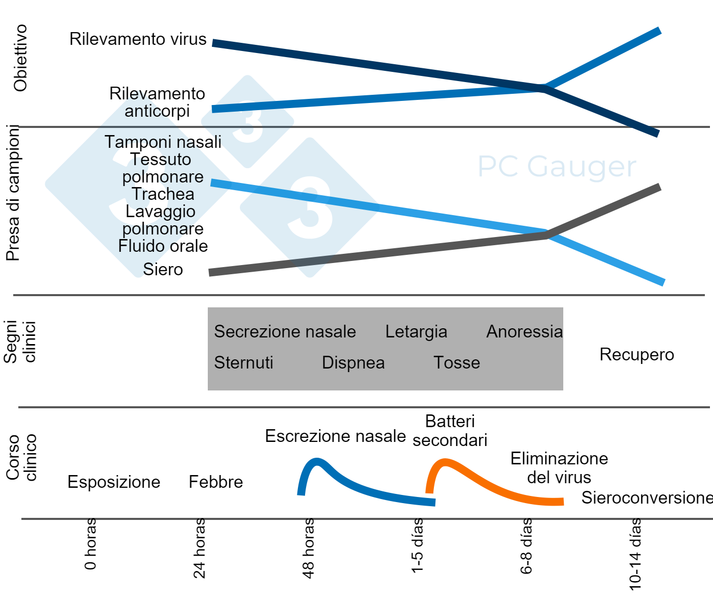 Campionamento per il rilevamento diretto o indiretto e la diagnosi del virus dellinfluenza A nei suini