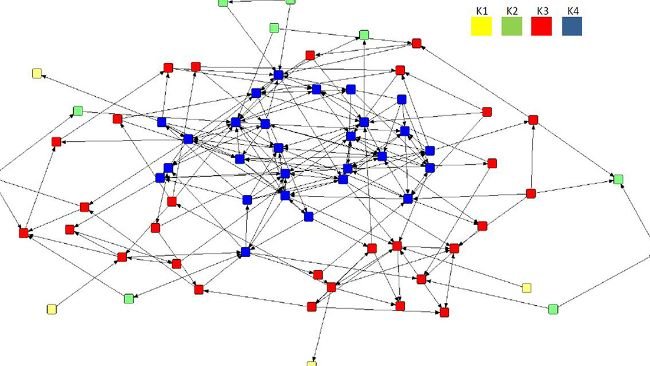 Figura 4. Sociogramma dell'associazione preferenziale diretta della rete media (n = 70) con l'analisi k-core applicata, che mostra la formazione di quattro sottogruppi all'interno della mandria tra cui K4 (n = 27), K3 (n = 29), K2 ( n = 10) e K1 (n = 4). La legenda indica il valore di cohort per ciascun sottogruppo.