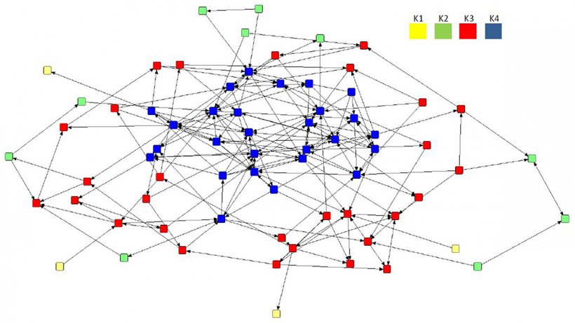 Figura 4. Sociogramma dell'associazione preferenziale diretta della rete media (n = 70) con l'analisi k-core applicata, che mostra la formazione di quattro sottogruppi all'interno della mandria tra cui K4 (n = 27), K3 (n = 29), K2 ( n = 10) e K1 (n = 4). La legenda indica il valore di cohort per ciascun sottogruppo.