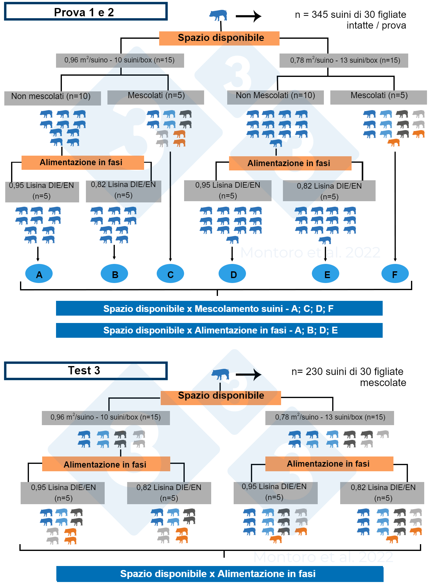 Ilustración esquemática del diseño experimental