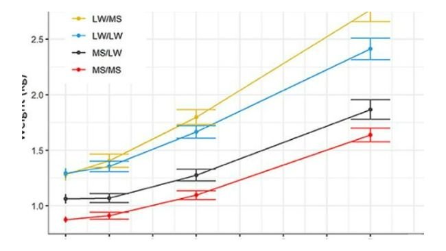 comportamento e attività durante la lattazione