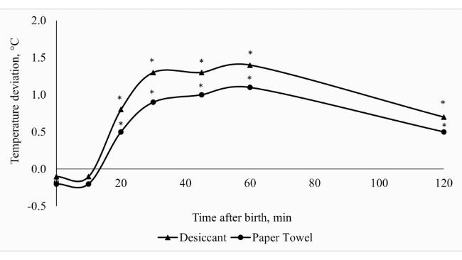 Figura 1.Deviazione della temperatura rettale dei suinetti tra i trattamenti asciuganti (asciugante o tovagliolo di carta) e quelli non asciuganti (controllo) nelle prime 2 ore dopo la nascita. *Deviazione rispetto al trattamento di controllo diversa da 0, a P ≤ 0,05.