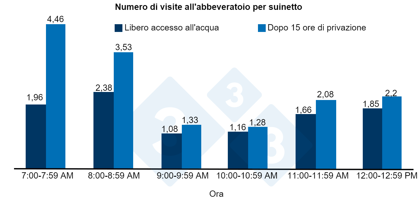 Numero di visite allabbeveratoio per suinetto dopo 15 ore di privazione o libero accesso allacqua