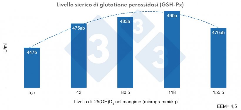 Figura 3. Effetto dei diversi livelli di calcidiolo (25(OH)D3) nella dieta dei suinetti svezzati sul livello sierico di glutatione perossidasi (GSH-Px). a, b: lettere diverse indicano differenze statisticamente significative (P &lt; 0,01) Effetto quadratico, P &lt; 0,01. Fonte: Yang et al. (2018)

