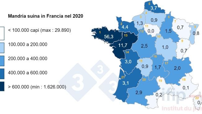 Distribuzione del patrimonio suinicolo in Francia nel 2020. 1 Bretagne, 2 Basse-Normandie, 3 Haute-Normandie, 4 Picardie, 5 Nord-Pas-de-Calais, 6 Champagne-Ardenne, 7 Lorraine, 8 Alsace, 9 Franche-Comté , 10 Bourgogne, 11 IDF, 12 Centre, 13 Pays de la Loire, 14 Poitou-Charentes, 15 Limousin, 16 Auvergne, 17 Rhône-Alpes, 18 PACA, 19 Languedoc-Roussillon, 20 Midi-Pyrénées, 21 Aquitaine.