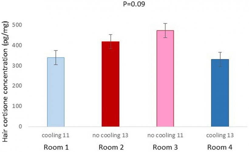 Figura 4. Concentrazione di cortisone pilifero pg./mg dei suini della Prova 1 stabulati nelle diverse stanze (p = 0.0904). Lettere diverse significano differenze significative a p=0.09.
