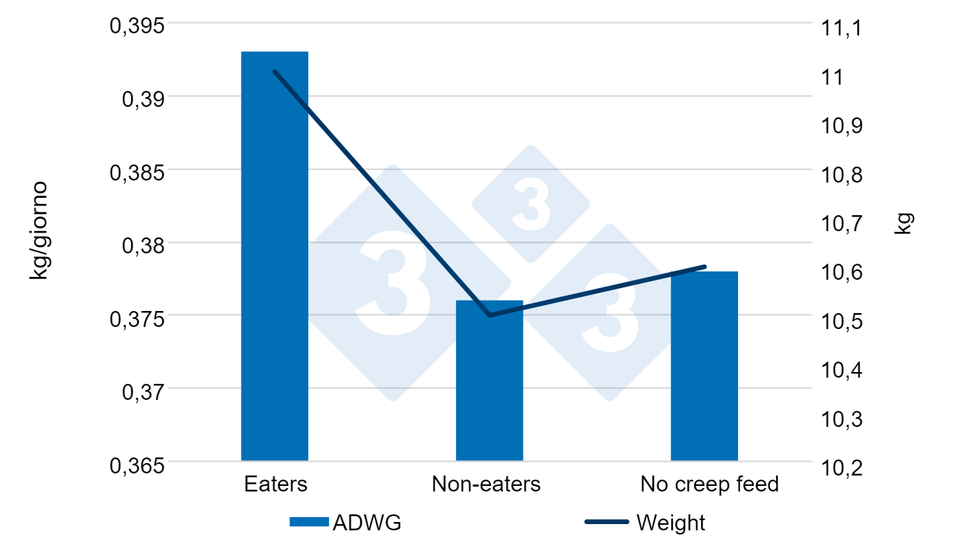 Aumento di peso giornaliero e peso in base al fatto che abbiano mangiato o meno mangime prima dello svezzamento