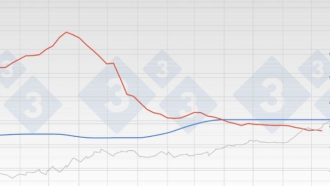 Grafico 1. Evoluzione del prezzo del suino in Spagna (Mercolleida) e Cina.