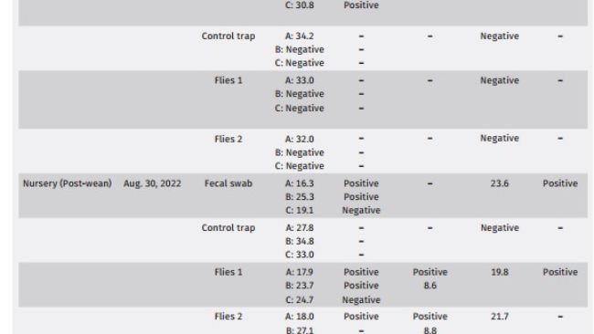 Tabella 3: Riassunto diagnostico, replicazione 2.