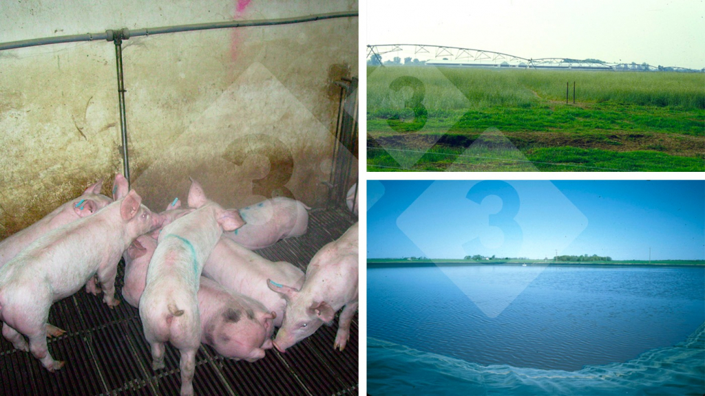 Una gestione impropria dellabbeveratoio ha un impatto negativo sui costi operativi e sullambiente.