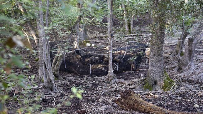 Fonte: ISPRA (Antonio Petrone)