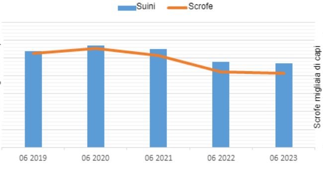 Figura 1. Evoluzione della popolazione suina in Polonia. Fonte: Ufficio Centrale di Statistica, Polonia.